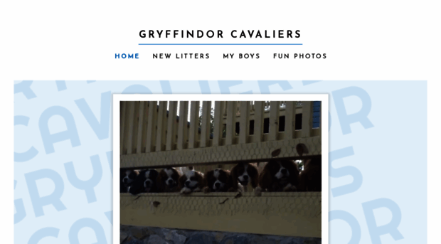 gryffindorcavaliers.com