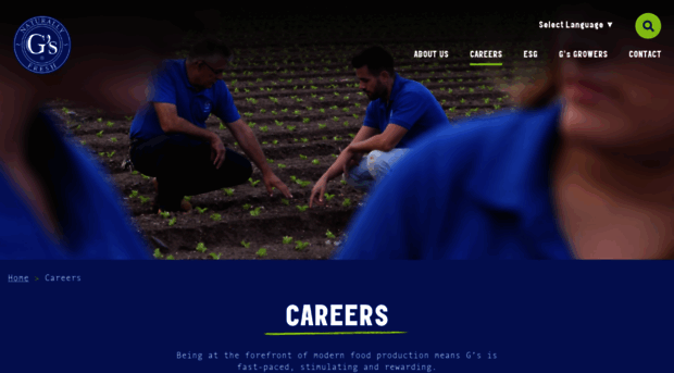 gs-recruitment.com