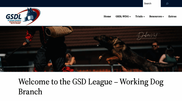 gsdleague-workingbranch.com