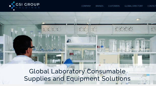 gsigroupholdings.com