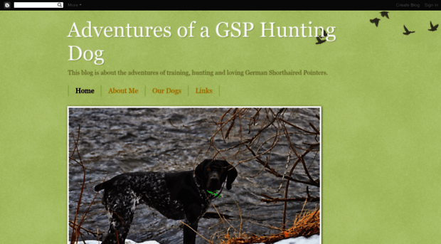 gsphuntingdog.blogspot.com