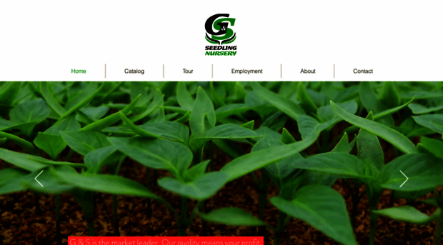 gsseedlings.com.au