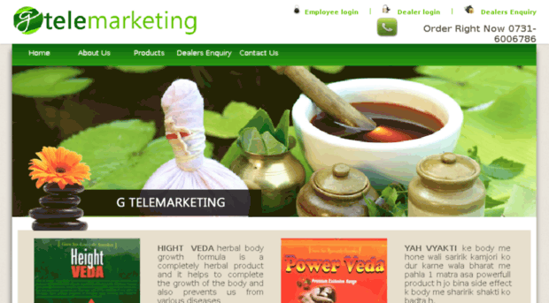 gtelemarketing.in