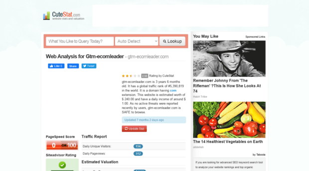 gtm-ecomleader.com.cutestat.com
