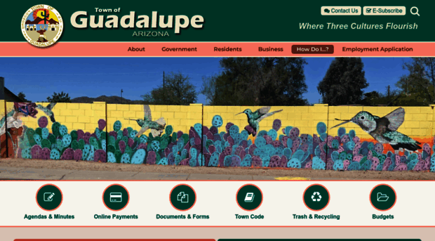 guadalupeaz.org