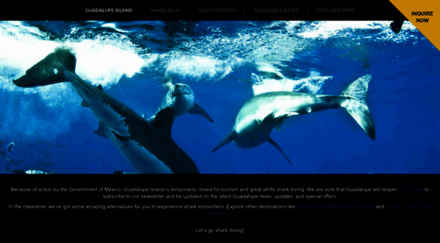 guadalupegreatwhitesharks.com