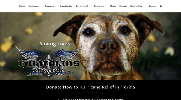 guardiansofrescue.org