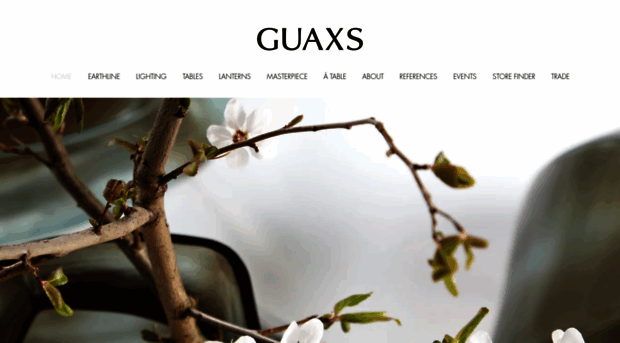 guaxs.com