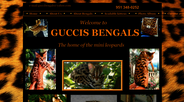 guccibengals.com