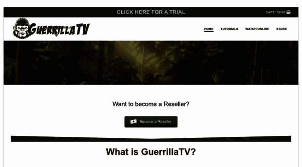 guerrillaiptv.com