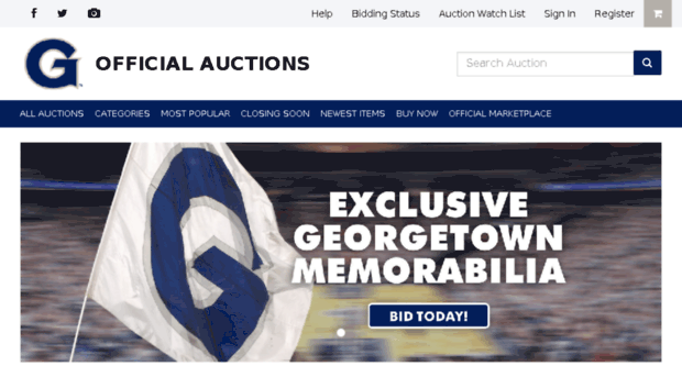 guhoyas.cstvauctions.com