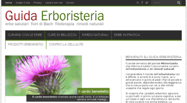 guidaerboristeria.com