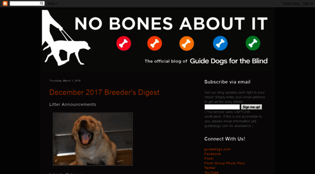 guidedogs.blogspot.com