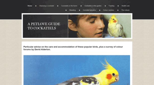 guidetocockatiels.yolasite.com