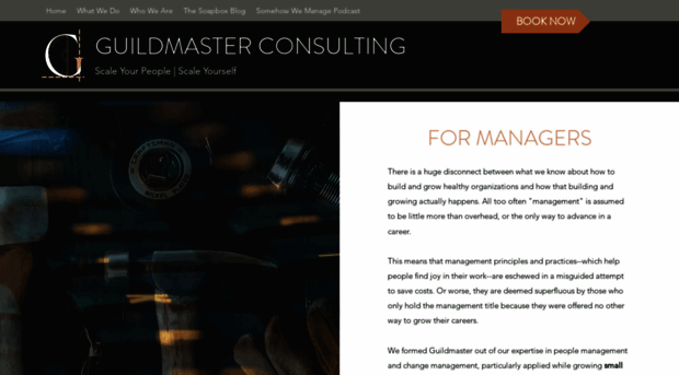 guildmasterconsulting.com