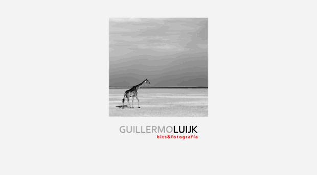 guillermoluijk.com