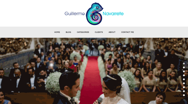 guillermonavarrete.com