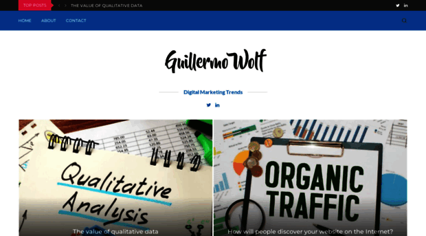 guillermowolf.com