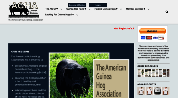 guineahogs.org