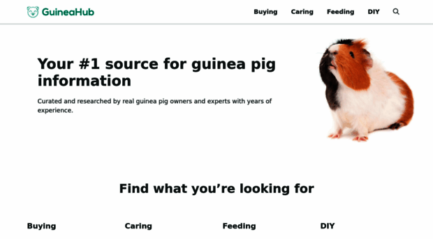 guineahub.com