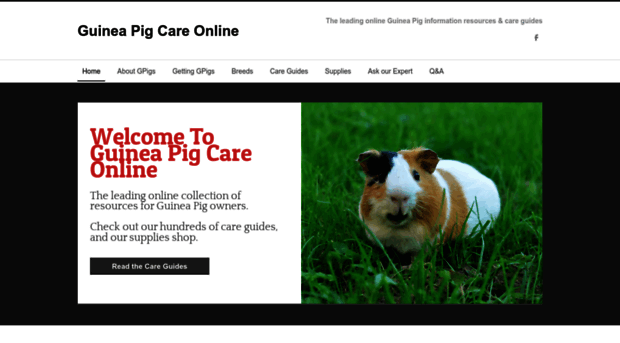 guineapigcareonline.weebly.com