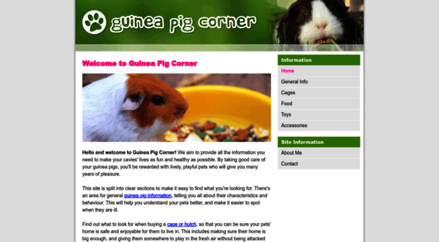 guineapigcorner.com