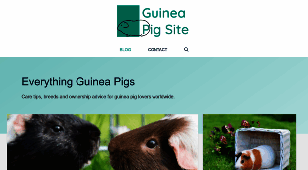 guineapigsite.com