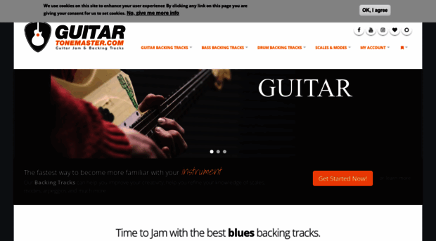 guitartonemaster.com