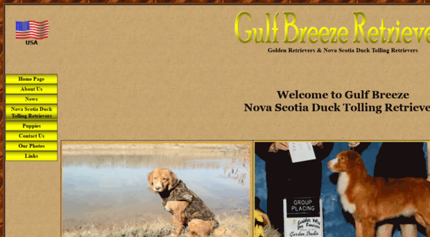 gulfbreezeretrievers.com