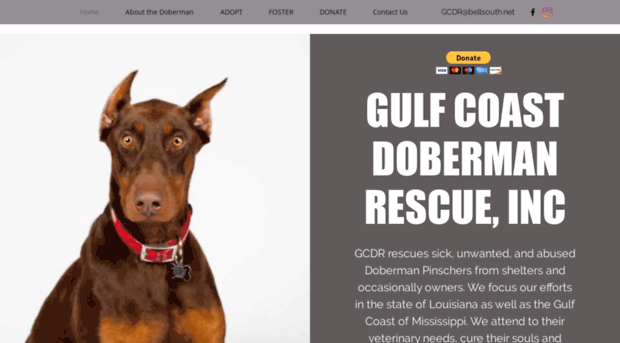 gulfcoastdobermanrescue.org