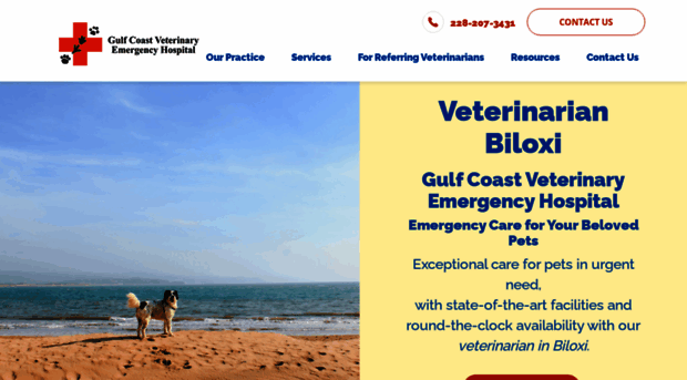 gulfcoastveter.com