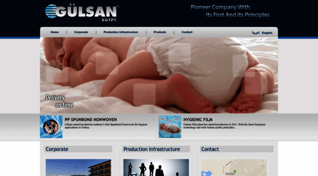 gulsanegypt.com