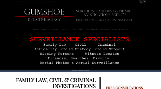 gumshoedetectiveagency.com
