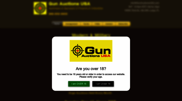 gunauctionsusa.com