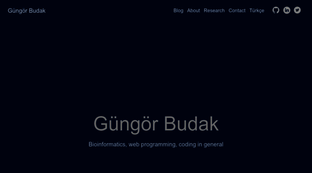 gungorbudak.com