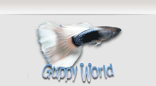 guppy-world.com