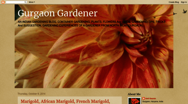 gurgaongardener.blogspot.com