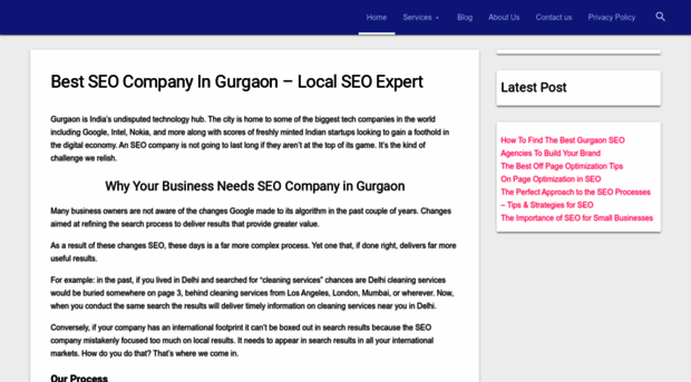 gurgaonseoguy.com