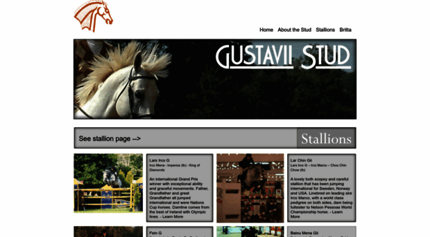 gustaviistud.com