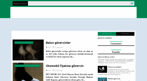 guvercinvekeklik.blogspot.com