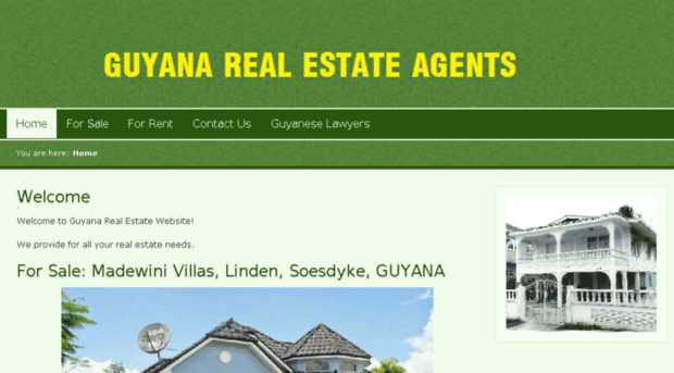 guyanarealestateagents.com