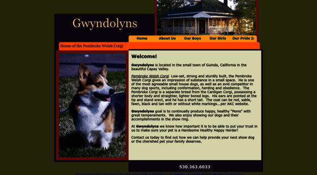 gwyndolyns.com