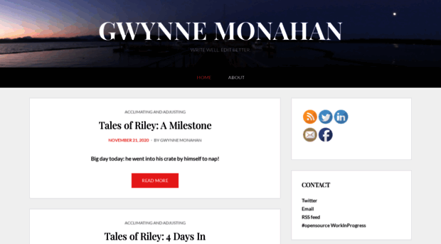 gwynnemonahan.com