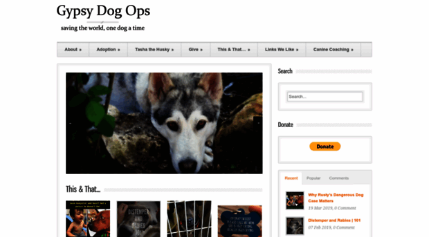 gypsydogops.com
