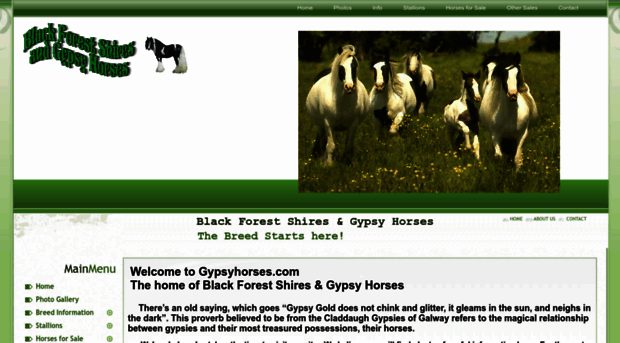 gypsyhorses.com