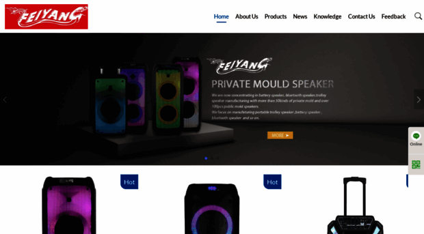 gzfeiyangspeaker.com