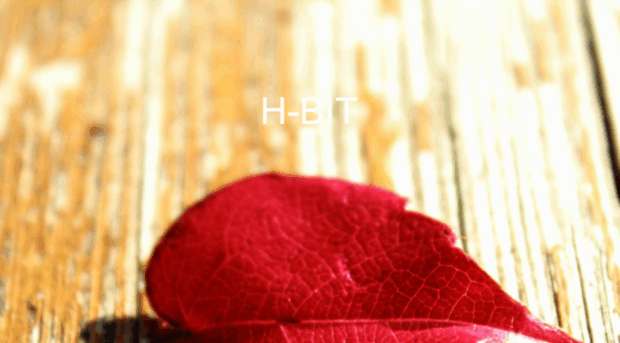 h-bit.hu
