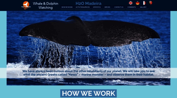 h2omadeira.com