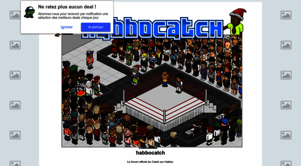 habbocatch.superforum.fr