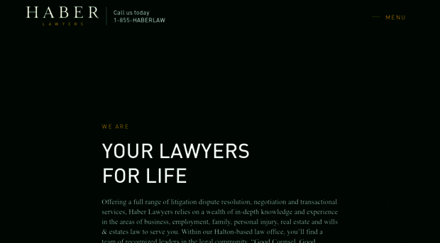 haber-lawyer.com